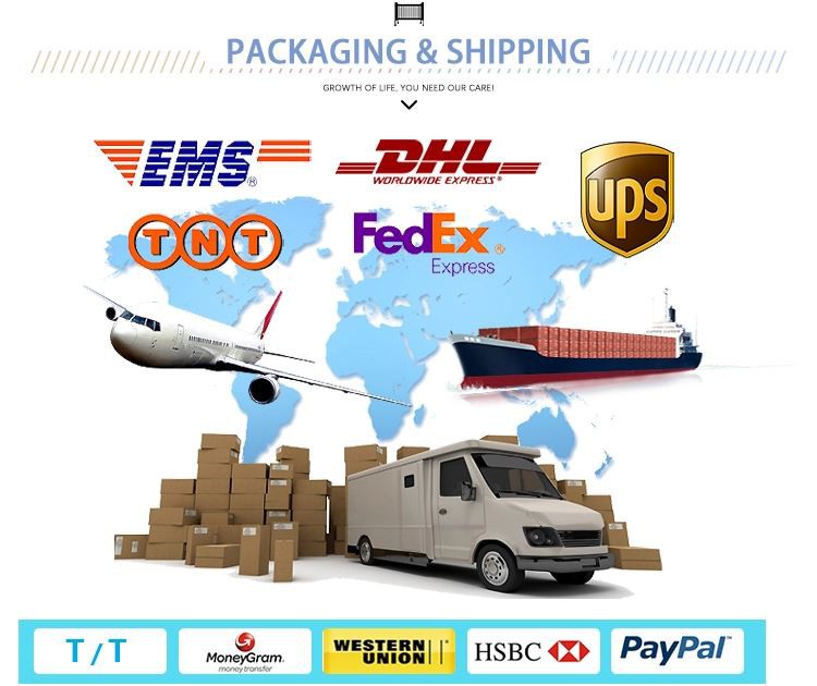 All-in-One Computers